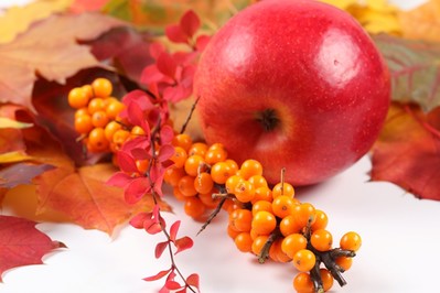 Barwy jesieni na talerzu