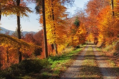 10 sprawdzonych sposobów na jesienną chandrę 