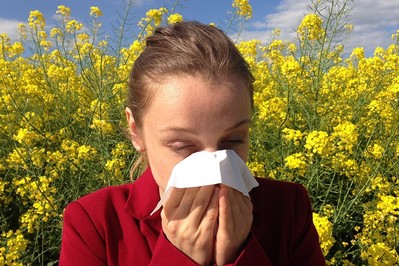 Alergia: czym jest alergia, jak ją stwierdzić. Kalendarz pylenia