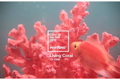 Living Coral: kolor roku 2019 według Pantone. Koralowy optymizm, świeżość i energia