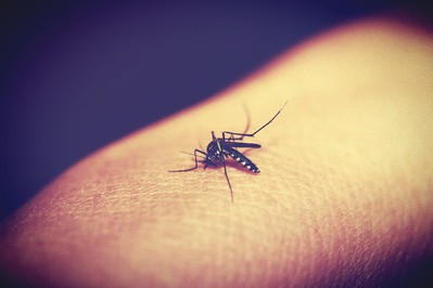 Co na komary? Domowe sposoby bezpieczne dla dzieci