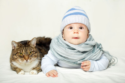 Kot i niemowlę w jednym domu