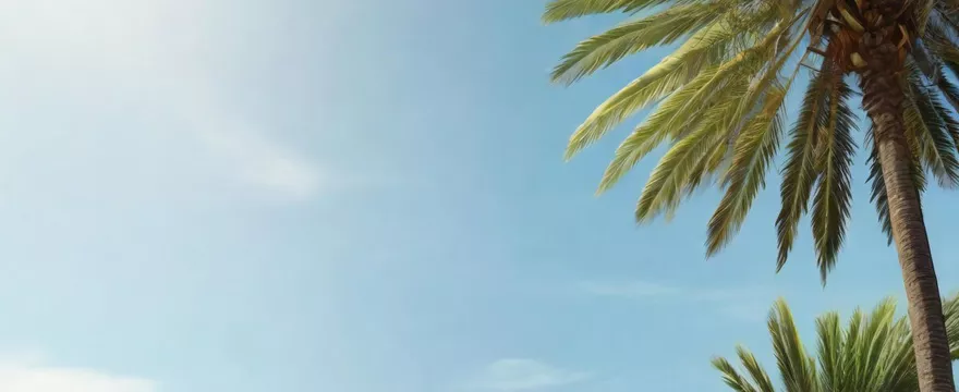 Co można robić na Gran Canaria z dziećmi?