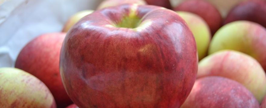 Najlepsze jabłka na soki – od słodkich szampionów po kwaskowate antonówki