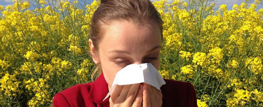 Alergia: czym jest alergia, jak ją stwierdzić. Kalendarz pylenia