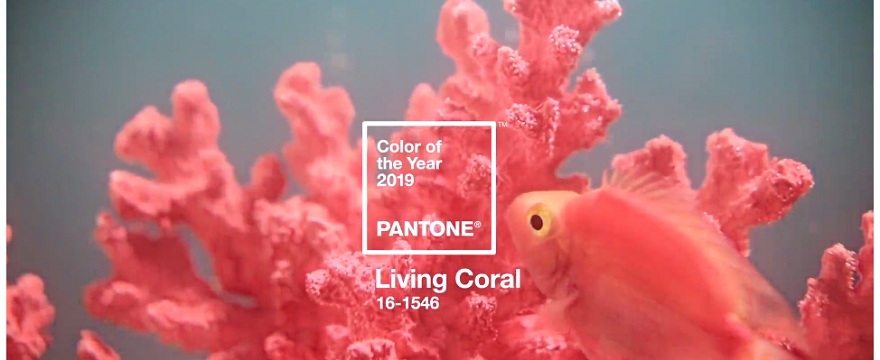 Living Coral: kolor roku 2019 według Pantone. Koralowy optymizm, świeżość i energia