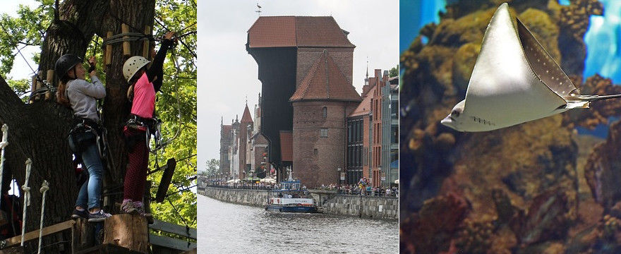 TOP 5 atrakcji dla dzieci w mieście - wakacje w mieście.