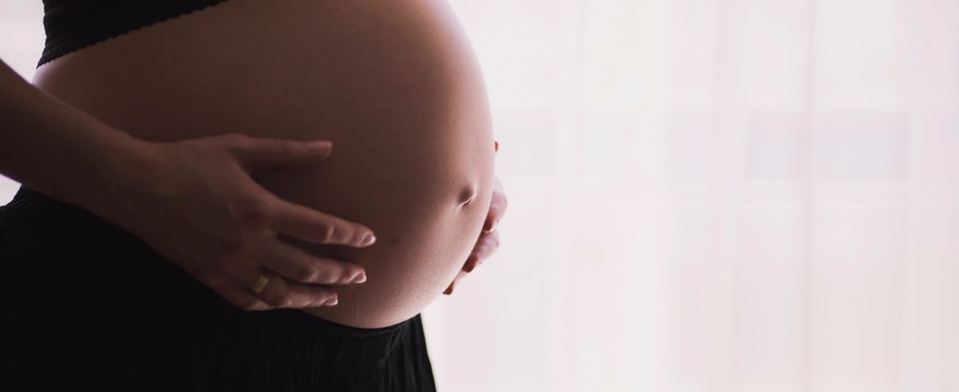 Bostonka w czasie ciąży – czy jest groźna dla mamy i dziecka?